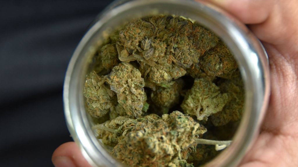  Legislativo de Florida deber&aacute; aprobar ley que permita fumar marihuana 