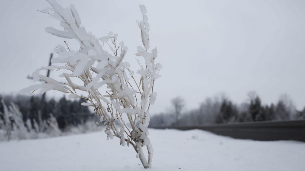  Toronto se empieza a recuperar de la mayor nevada de su historia 