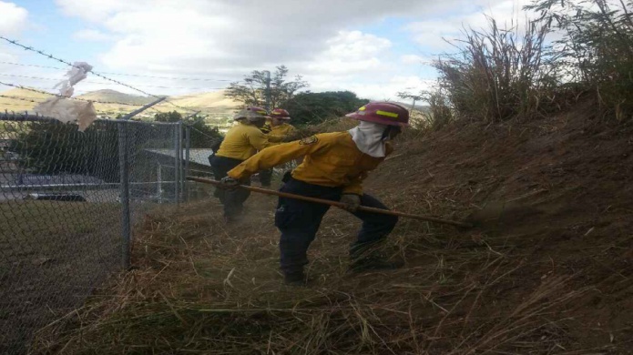 LARGA LA JORNADA DE TRABAJO DE BOMBEROS FORESTALES EN COAMO Y SANTA ISABEL 