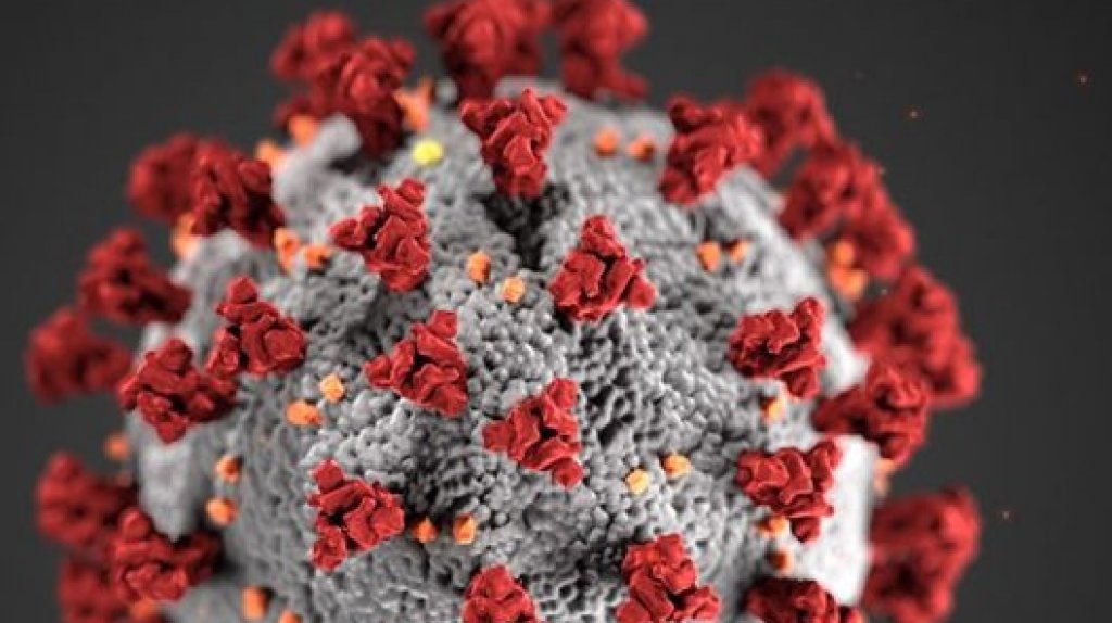  Muertes por COVID-19 en Puerto Rico superan las 2,000 personas 