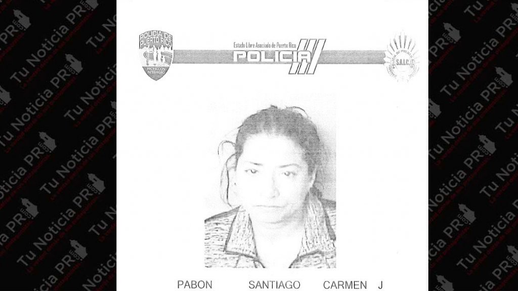  Entró a Walmart del Mayagüez Mall, monto una planta eléctrica en el carrito y se fue sin pagarla 