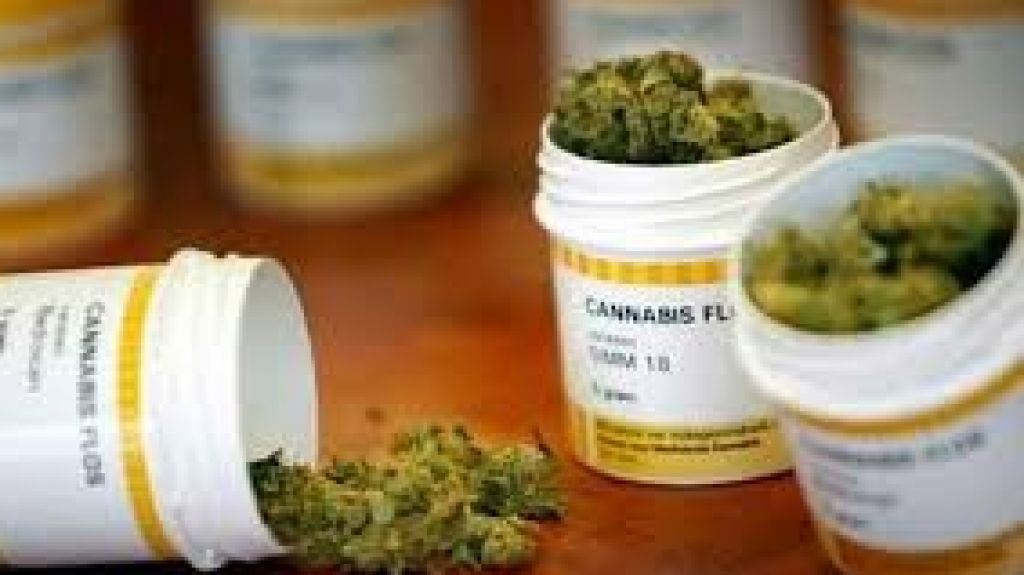  Piden aprobar en C&aacute;mara medidas costo medicamentos y de protecci&oacute;n pacientes cannabis medicinal 