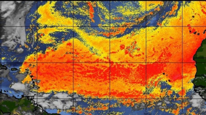 Aguaceros de la Onda tropical quedaron sobre el mar. Nada alentador el pronÃ³stico de esta semana...