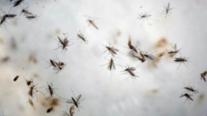 Alianza interagencial contra el Zika afianza su estrategia de control de focos de propagaciÃ³n 