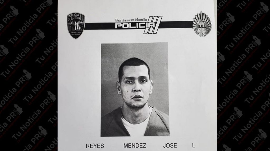  A la c&aacute;rcel hombre que rob&oacute; una planta el&eacute;ctrica y bater&iacute;a de paneles solares en San Sebasti&aacute;n 