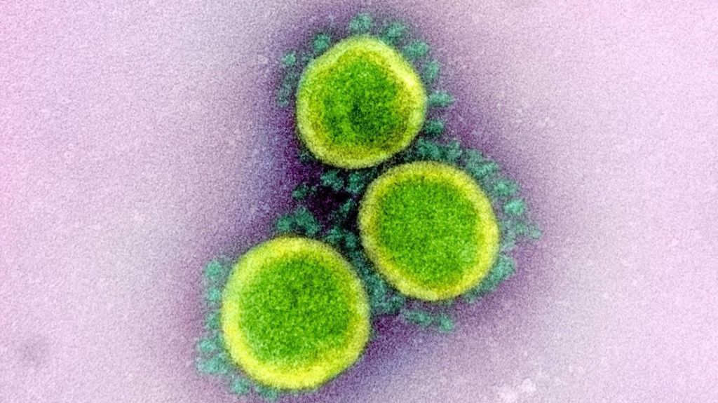  Cient&iacute;ficos estiman que la lenta mutaci&oacute;n del coronavirus posibilitar&iacute;a vacunas m&aacute;s duraderas que las de la gripe 