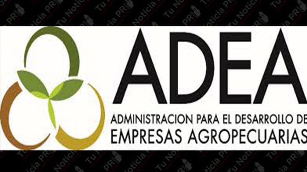  Contralor&iacute;a revela que la Administraci&oacute;n de Empresas Agropecuarias fraccion&oacute; y realiz&oacute; compras contrarias al Reglamento 