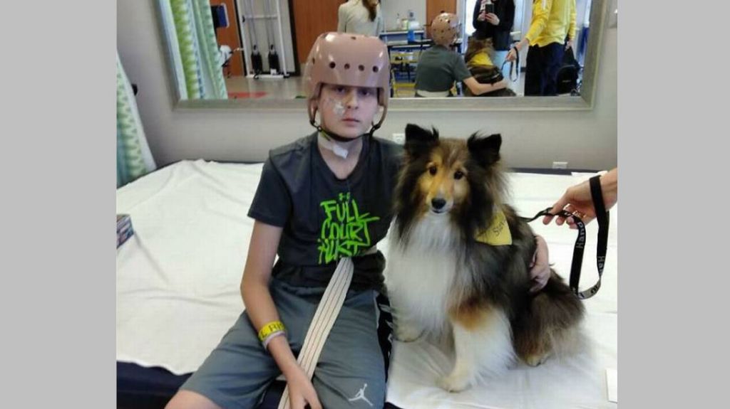  Le diagnosticaron muerte cerebral y sus padres aprobaron donaci&oacute;n de sus &oacute;rganos. Entonces despert&oacute; 