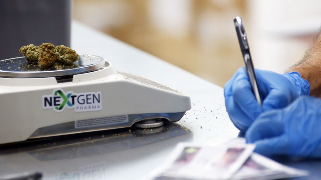  Marchar&aacute;n por sexta ocasi&oacute;n en San Juan para descriminalizar uso del cannabis 