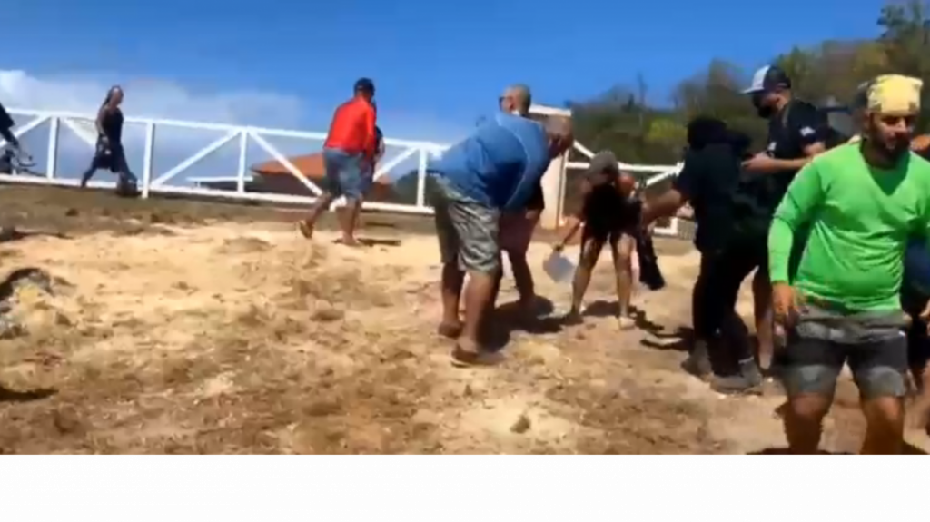  Video: Momento del enfrentamiento de guardias de seguridad contra manifestantes en Aguadilla, tiroteo, piedras y un herido 