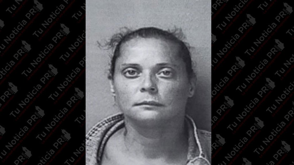  Cargos a mujer que abandono un &ldquo;Pitbull&rdquo; en Arecibo 