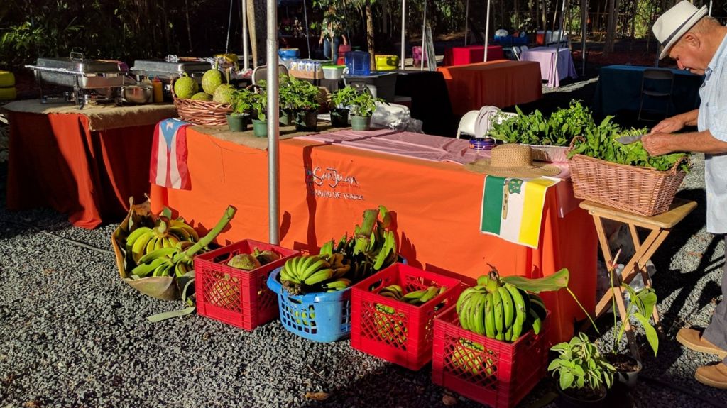  Un &eacute;xito Mercado Agr&iacute;cola en Caimito 