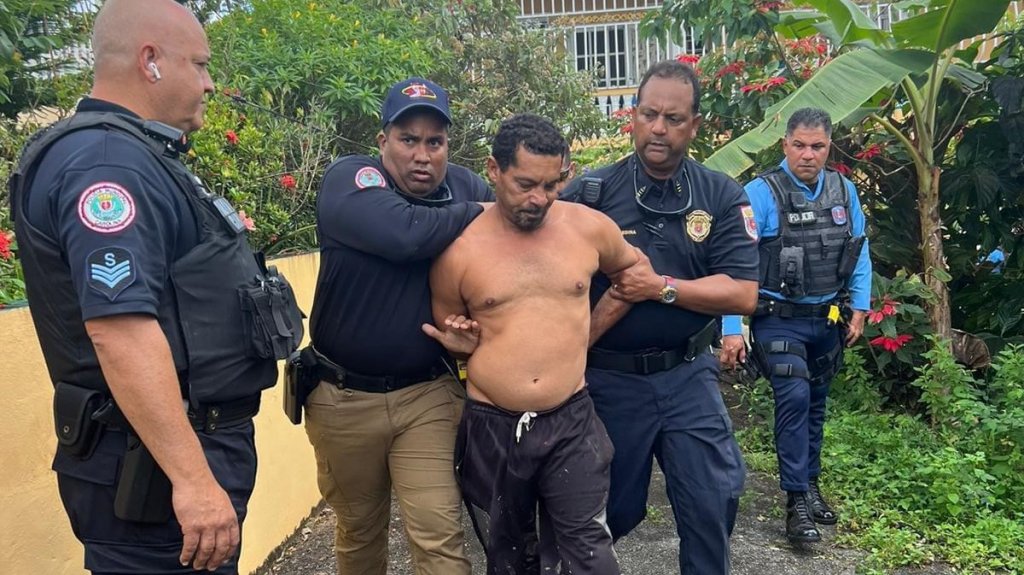  Video: Municipales de Carolina arrestan a hombre que apu&ntilde;alo a su pareja 