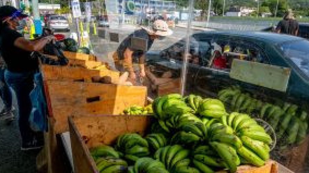  Mercados Familiares contin&uacute;an hoy en Coamo con el modelo de servicarro 