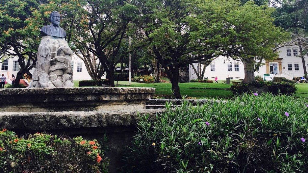  Estudiante de la UPR de Cayey logra promedio m&aacute;s alto en examen de rev&aacute;lida de qu&iacute;micos a nivel de Puerto Rico 