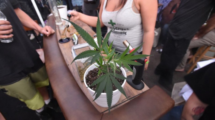 Ventas de marihuana pagarÃ¡n becas universitarias