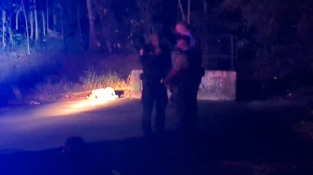  Video: Asesinan de varios disparos a una mujer en Santurce 