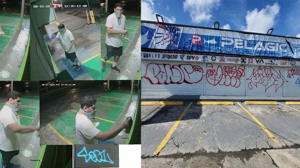  Lleg&oacute; con pintura en mano a vandalizar negocios en Carolina, pero qued&oacute; grabado en video 