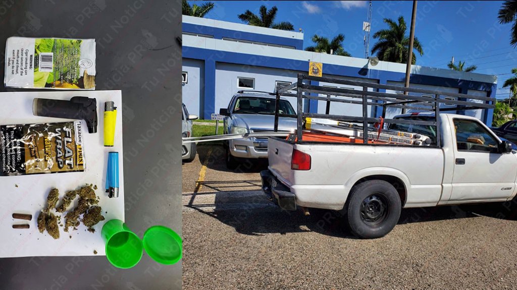  Arrestan en Mayag&uuml;ez a 3 obreros que se dirig&iacute;an al trabajo con varias mo&ntilde;as de marihuana 