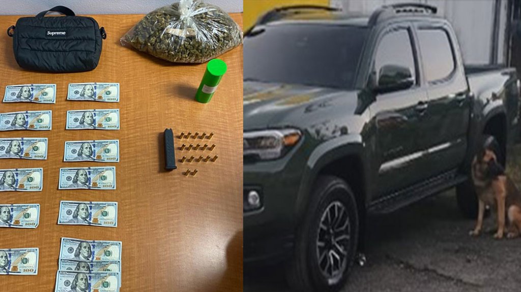  Ocupan Una libra de marihuana en una Tacoma ocupada en Guaynabo 