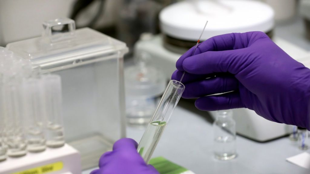  Prueba inicial de un posible medicamento contra el coronavirus tiene &eacute;xito 