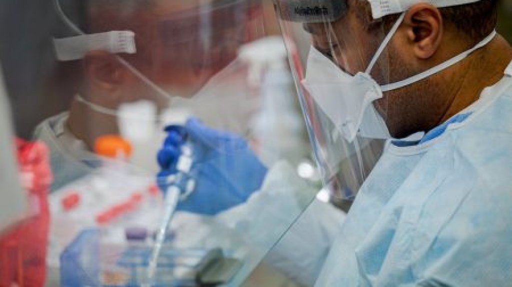  Investigaciones de laboratorio con organoides pulmonares hacen reveladores descubrimientos sobre cómo el Covid-19 infecta sistema respiratorio 