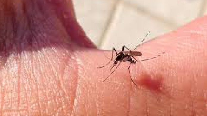  
EXHORTAN TOMAR MEDIDAS PREVENTIVAS CONTRA EL CHIKUNGUNYA Y LA INFLUENZA 