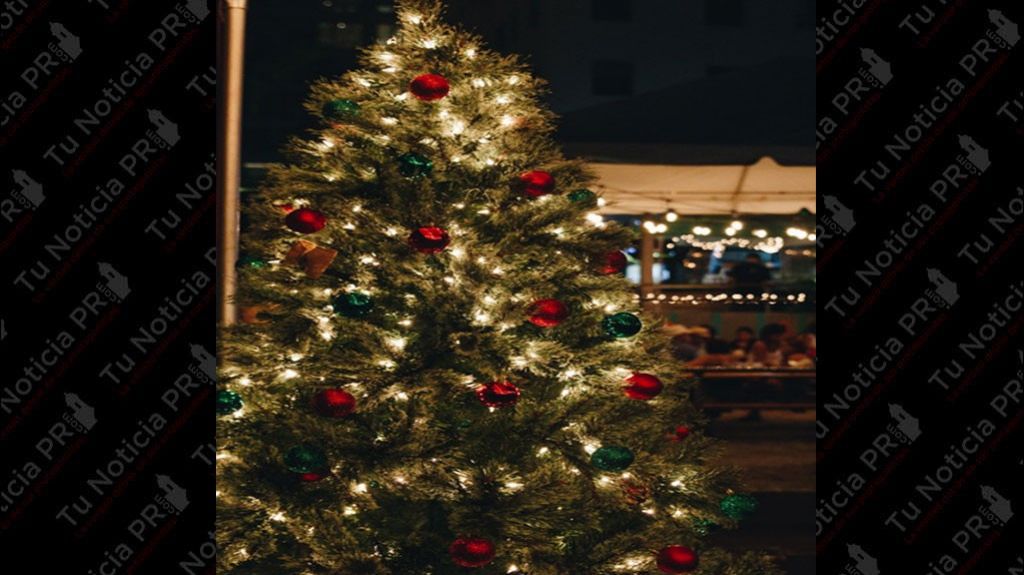  Arranca el reciclaje de &aacute;rboles de Navidad 