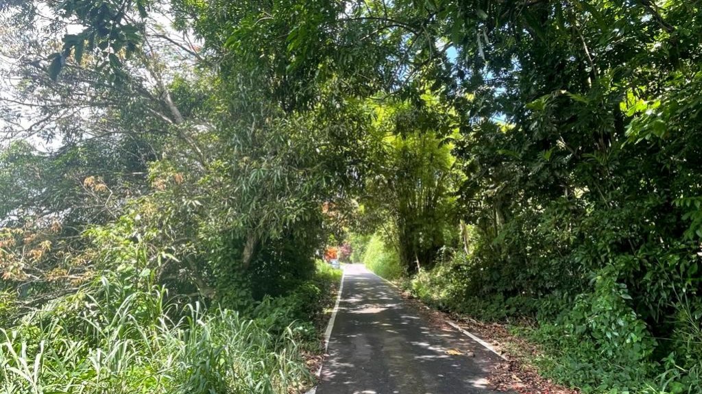  Reclaman acci&oacute;n del DTOP ante mal estado de carreteras del &aacute;rea oeste 