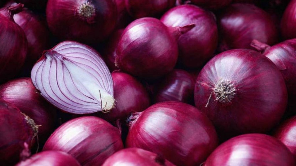  Caribbean Produce Exchange anuncia retiro de cebollas en el mercado ante posible brote de Salmonella Newport en Estados Unidos y en Canadá 