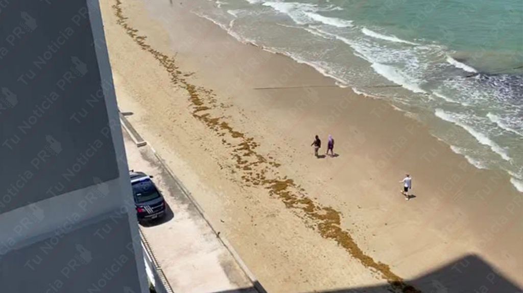  En video momento en que polic&iacute;a remueve ba&ntilde;istas por el &ldquo;Toque de Queda&rdquo; en playa de Carolina 