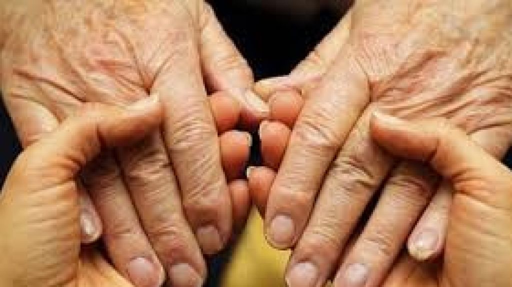  Programa de Servicios a personas de edad avanzada y adultos con impedimentos no es efectivo seg&uacute;n informe de contralor 