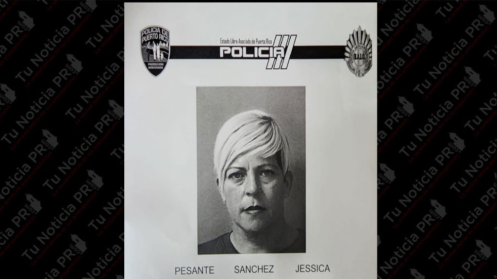  Arrestan en Aibonito a mujer que se llev&oacute; a un menor fuera de PR, para que su padre no lo viera 