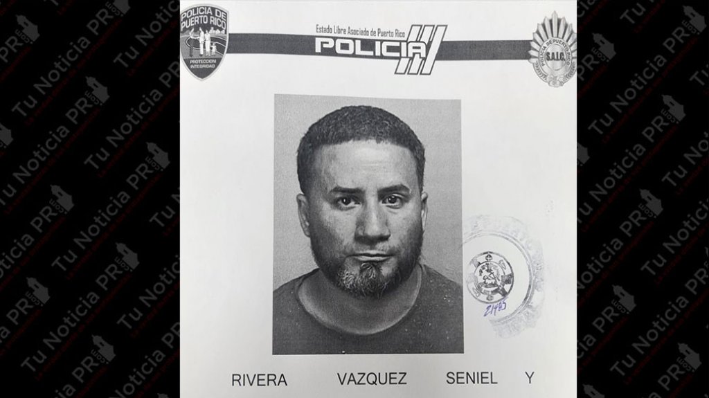  Arrestado por ley 54 en Naranjito, hasta la jaula de la cotorra rompi&oacute; 