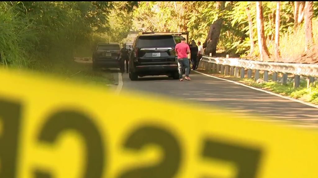  Video: Cuerpos encontrados en Can&oacute;vanas podr&iacute;an estar conectados con crimen en R&iacute;o Piedras 