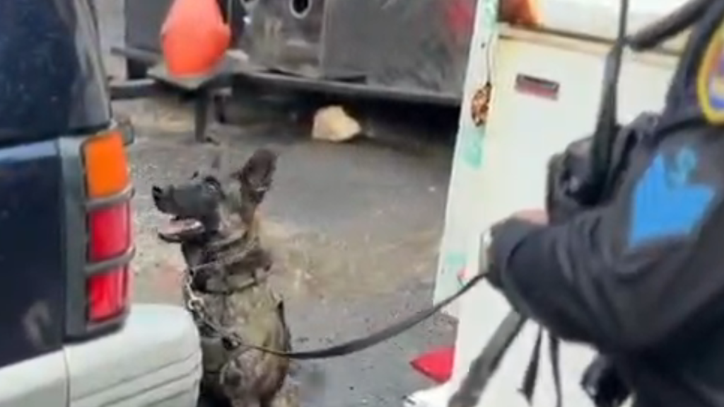  Video: Los guardias le dan &ldquo;Un palo&rdquo; tempranito a la Perla 