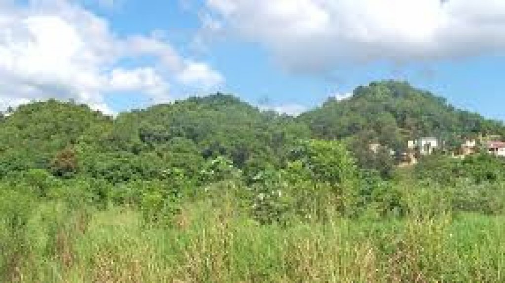  Proponen proteger la zona del carso con la creación del Parque Ecoturístico del Norte 