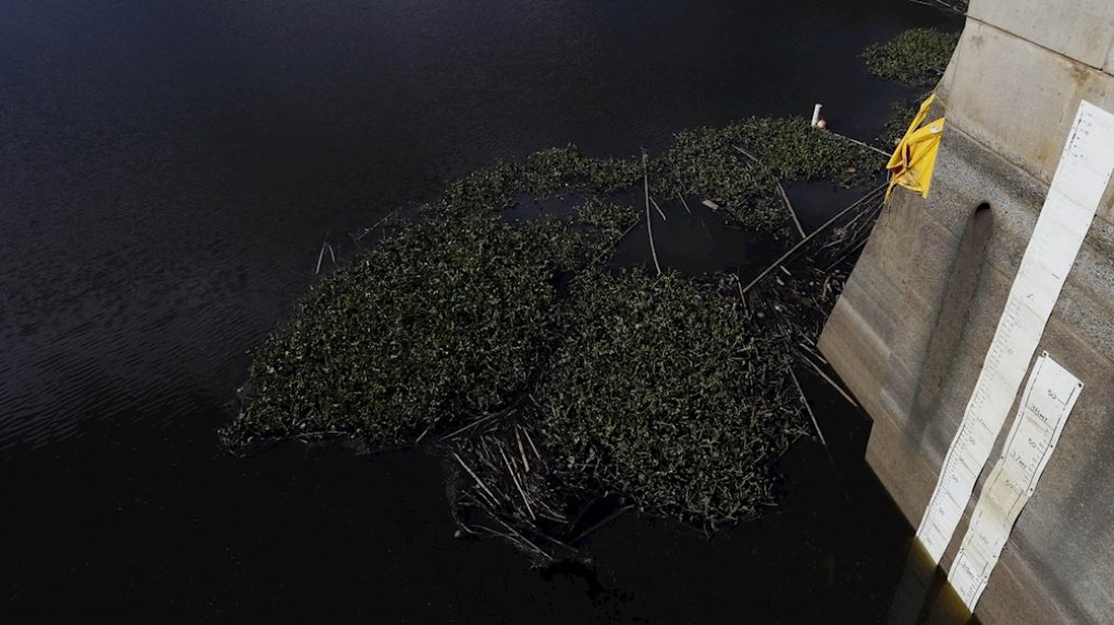  Abonados de la Plata y Carraízo pueden comenzar racionamiento el mes que viene, anticipa la AAA 