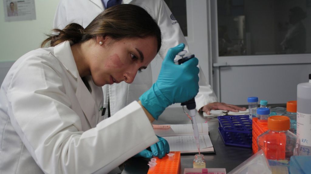  Desarrollan un cultivo celular que trata con éxito la diabetes tipo 1 