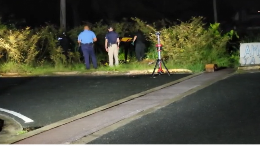  Video: Asesinan y luego queman a un hombre en Hato Rey 