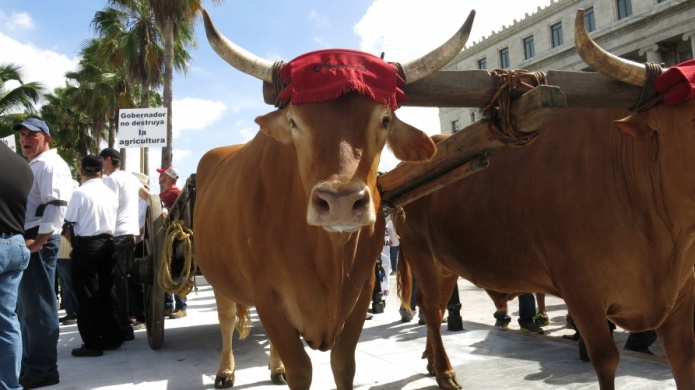 El Secretario de Agricultura se reÃºne con la industria ganadera 