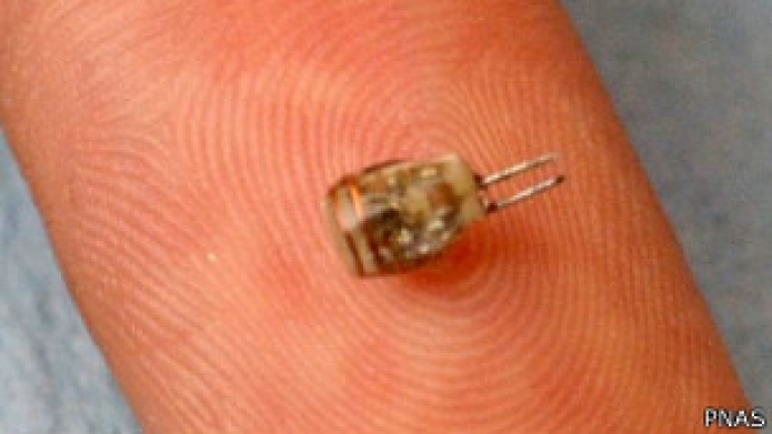 Crean marcapasos inalÃ¡mbrico del tamaÃ±o de un grano de arroz