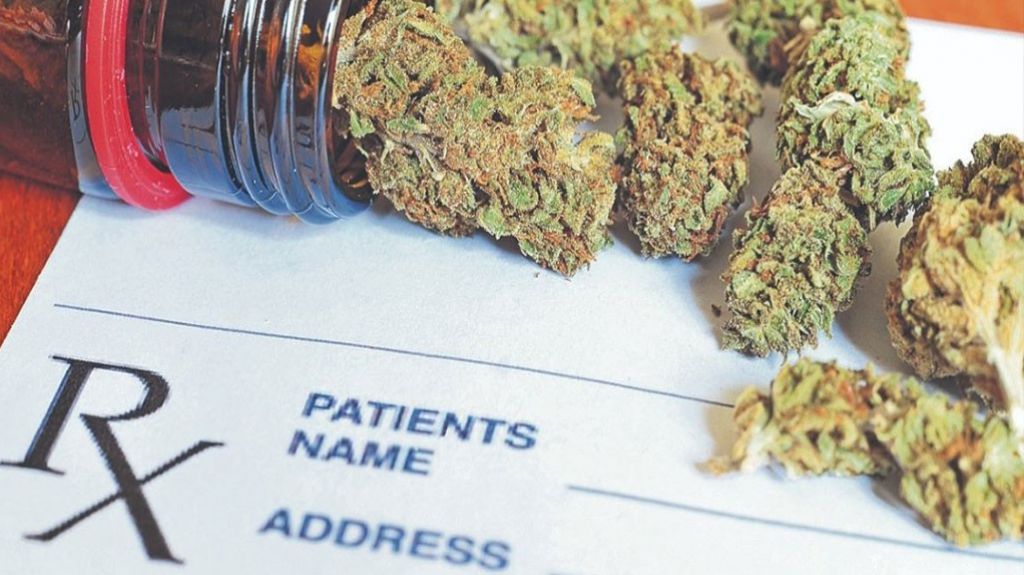 Esperan llegar a 7000 licencias de cannabis medicinal antes del 30 de noviembre 
