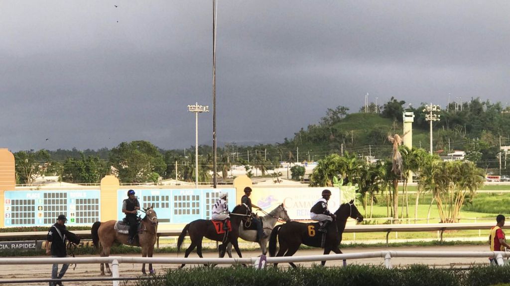  Sigue la controversia entre integrantes del hipismo con Hip&oacute;dromo Camarero por atar regreso de carreras a las m&aacute;quinas 
