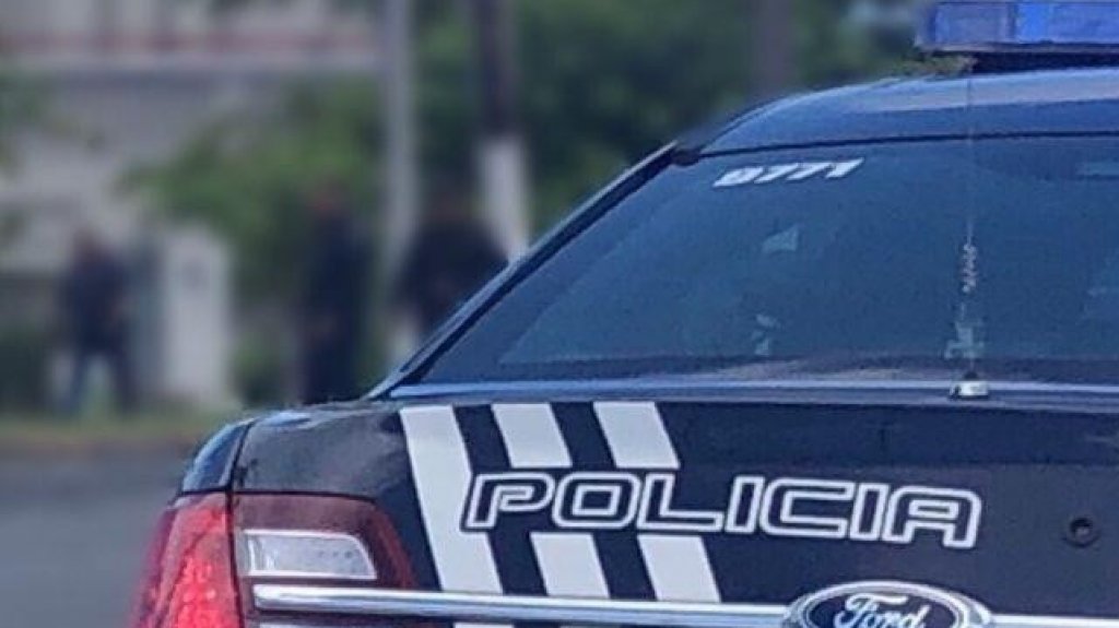  Se roban perra French Bulldog pre&ntilde;&aacute; de residencia en Toa Alta 