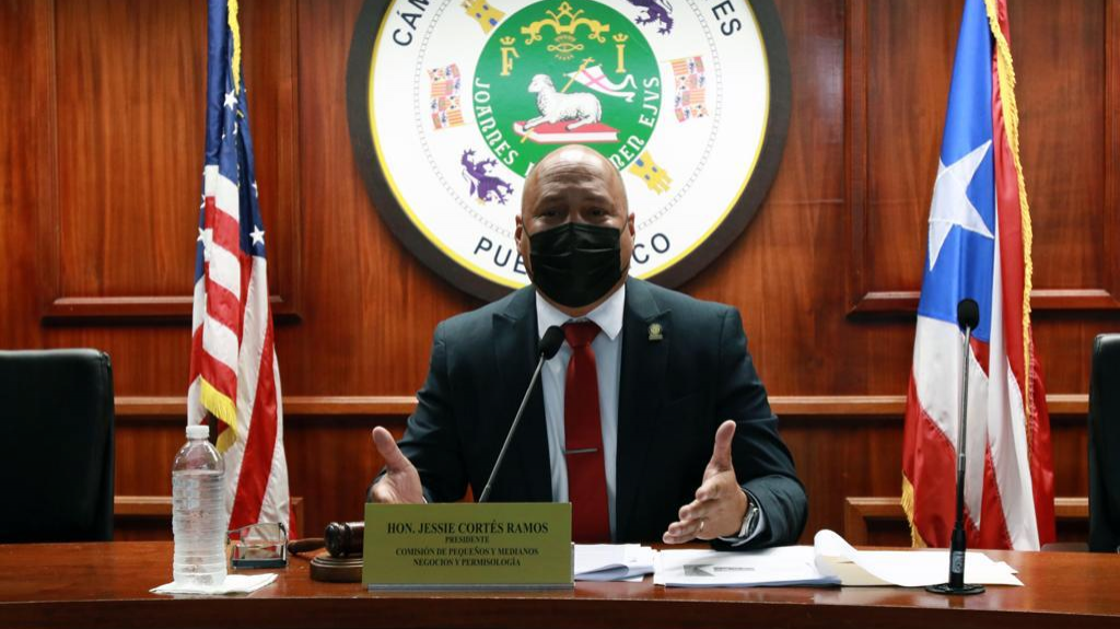  Eval&uacute;an medida que crear&iacute;a el Departamento de Planificaci&oacute;n Sustentable y Permisos Integrados 