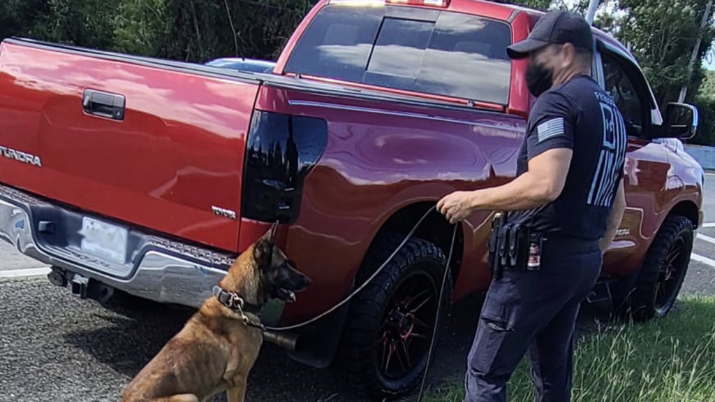  Incautan 254 kilos de coca&iacute;na y arrestan a dos hombres en Luquillo 