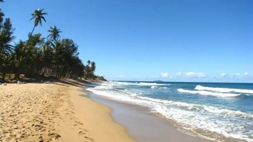  Arrestan a 4 jovencitas que se fueron de playa ayer en Rinc&oacute;n, por violar &ldquo;En Toque de Queda&rdquo; 