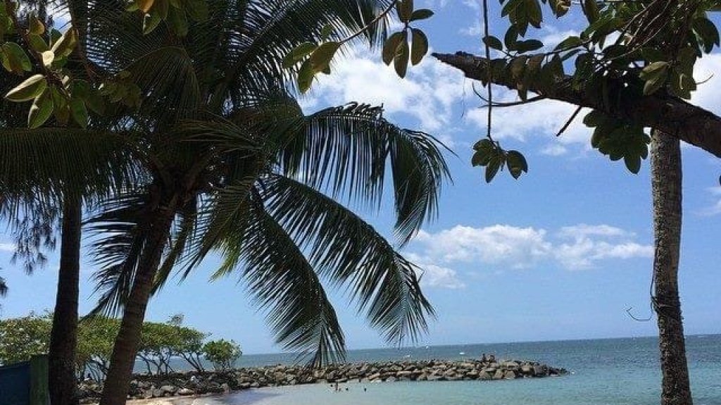  Reactivan campaña educativa “Tumba La Tiraera”,para fomentar el manejo de desperdicios sólidos y preservación de recursos naturales 