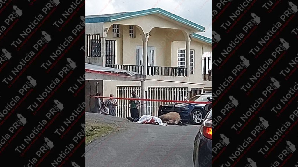  Tiroteo en Caguas deja a un hombre y un caballo muertos 